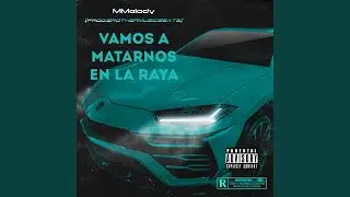 Vamos a matarnos en la raya (Reload)