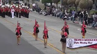Tropico MS - Torch of Liberty - 2024 Chino Band Review
