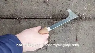 Jak wyczyścić  płyty chodnikowe i kostkę z trawy, mchu i chwastów