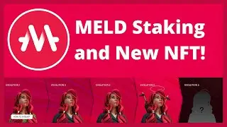 New MELD NFT and How to Stake MELD! Exciting Cardano Dapp!