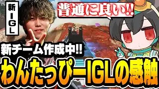 1tappyIGLの感触について話す4rufa【Apex Legends/ALGS/4rufa/1tappy/Lible_Ace】