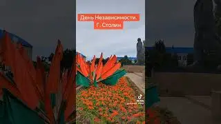 Гимн. День независимости Столин