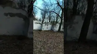 Всё конечно хорошо если бы поменьше мусора в лесу