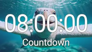 8 Hour Timer with Relaxing Music and Alarm