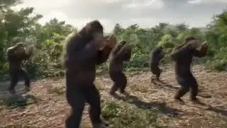 Apes Dancing to Baldi Song (REMASTERED)