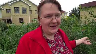 Как сделать свеклу более сладкой?