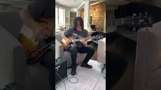 Every Gibson ES-335 Player in 9 seconds
