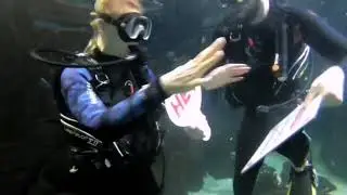 Сделал предложение руки и сердца под водой!