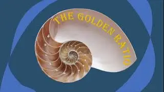 Golden Ratio