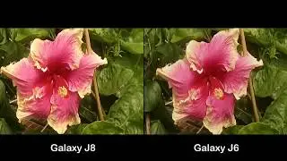 Samsung Galaxy J8 Vs Samsung Galaxy J6   2018   Camera Test 720p