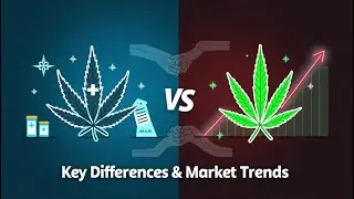 Medical vs. Recreational Companies – Key Differences, Market Trends & Investment Insights!