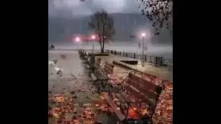 Düşen bir yaprak görürsen......