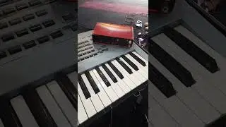 🎹 motif xs7 com Laucnh Key 25 e Kontakt (setu) #short