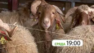 ЖИВОТНОВЪДЕН ДНЕВНИК