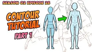 How To Draw Contours | Anime & Manga Tutorial