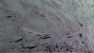 Balıklıgöl Şanlıurfa
