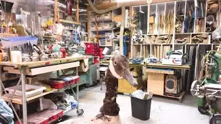 Ask Adam Savage: The Myth That 