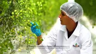Promovideo United Farms x Plant Empowerment