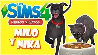 ¡CREANDO A MIS MASCOTAS! MILO Y NIKA 🐶🐱 | Los Sims 4 Perros y Gatos
