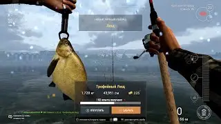 Игры, рыбалка Fishing Planet (трофейный лещ)