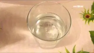 Зимняя вишня 3.0