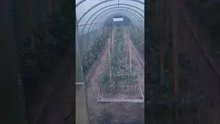 защитная сетка на дверях теплицы от животных 