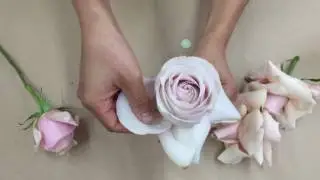 How to 