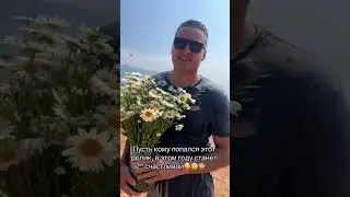8 июля 2024 г.