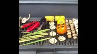 Мангал гриль Сочи