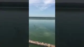 На Сурском море июль 2020