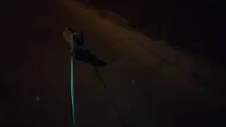 Boolya the pug is running