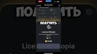 КАК СОБРАТЬ КОМБО В HAMSTER KOMBAT 🐹 