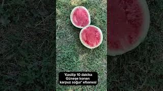 'Kesilip 10 dakika güneşe konan karpuz soğur' efsanesi #shorts #experiment #deney #eğlence