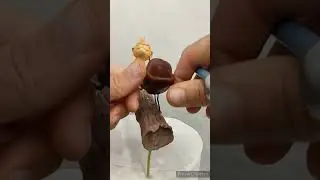 Начало изготовления торта по фильму "Король Лев" 🤗
