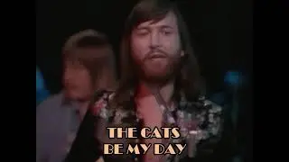 The Cats - Be My Day