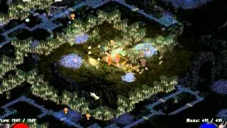 Diablo 2 lod challenge за друида #19