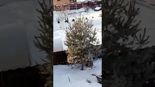 2 января