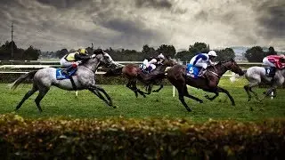 Whatever It Takes ll Horse Racing Music Video