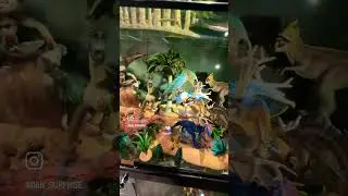 Non Jurassic World Collections