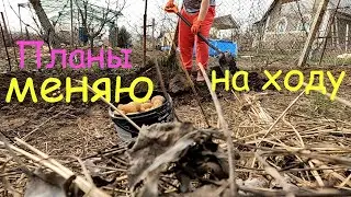 Хотела убирать, а пришлось сажать / Меняю планы на ходу /  Картошка Лук, Газон /  Успеть до дождей