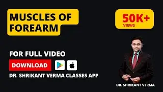 Upper Limb Anatomy | Muscles of the Forearm Explained in Hindi | Dr. Shrikant Verma