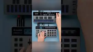 Happy 909 Day! Jam with Essential D1 and Essential B1 