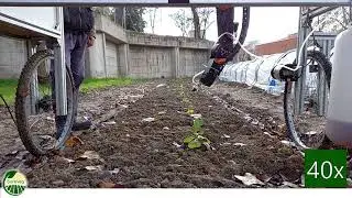 Sureveg Demo