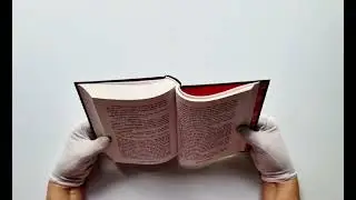 Проклятие теней и шипов