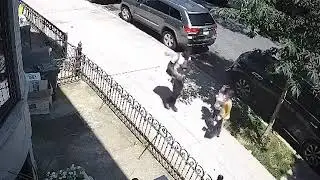 10-year-old boy robbed in broad daylight in Crown Heights!