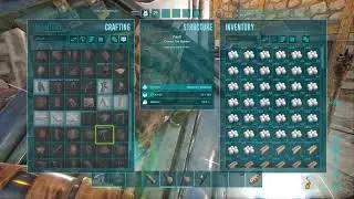 Ark Survival