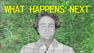 What Happens Next (A Psychedelic Retrospective)