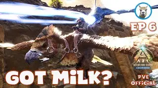 Hatching Babies and Milking Dragons - Scorched Ascended  Ep6 - Official PVE - Ark Ascended
