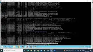 SAP HANA 2.0 - HANA UPGRADE & OS level FILE SYSTEMS