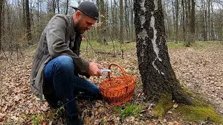 THE FIRST SPRING MUSHROOMS OF 2021. Morels, we are looking for new MUSHROOM PICKING PLACES!